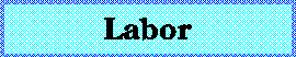 Labor, Labor Unions, IWW