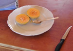 cut fastbreak cantaloupe